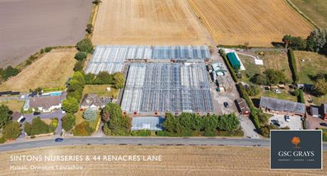 Discount retailer reportedly buys ornamentals nursery